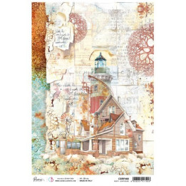 copy of 